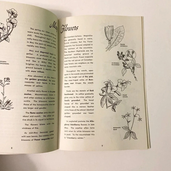 Vintage 1977 Nature Along The Blue Ridge Parkway Travel North Carolina Booklet - Picture 9 of 16